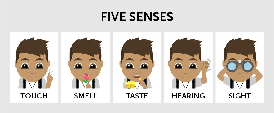 A scene of the 5 senses in Data Representation 1